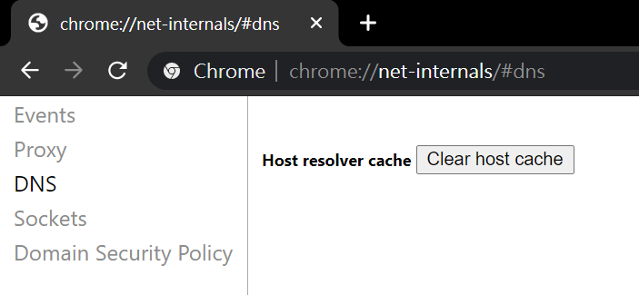 Clear Chrome DNS Cache 清除 DNS 快取 Clear Chrome DNS Cache